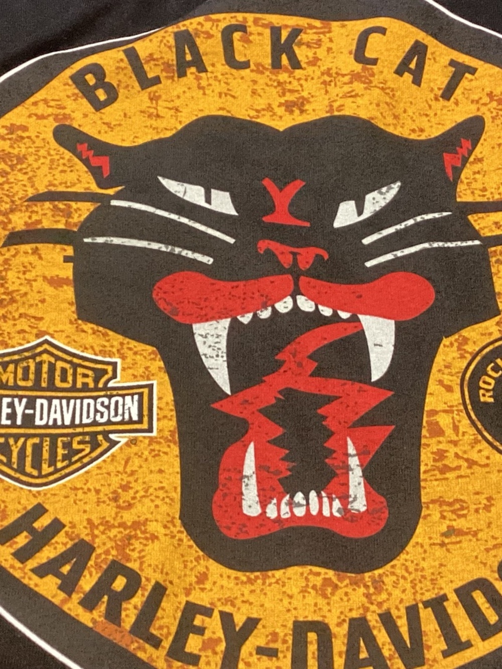 Harley-Davidson Black Tee  🐈‍⬛ BLACK CAT NEW WITH TAGS. FABULOUS 3 xl